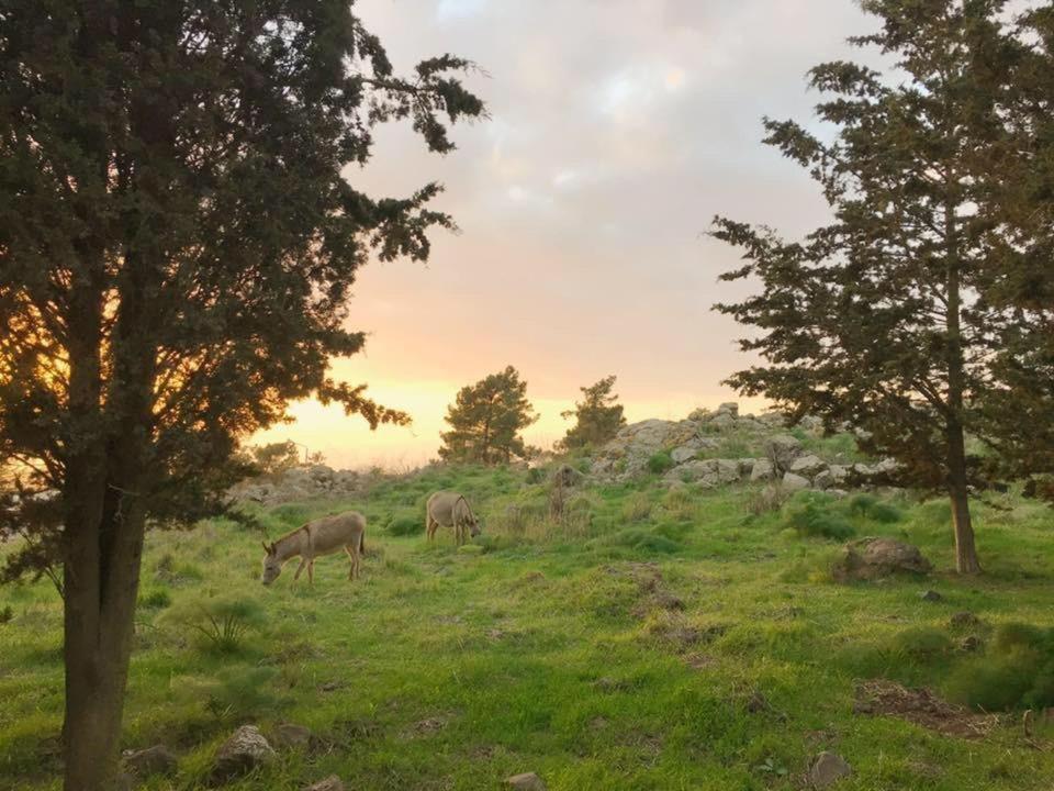 Natura-Eco Farm Εξωτερικό φωτογραφία