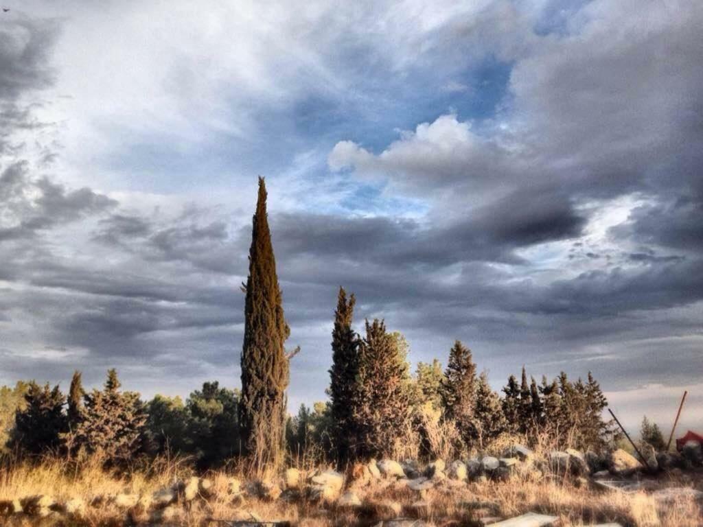Natura-Eco Farm Εξωτερικό φωτογραφία