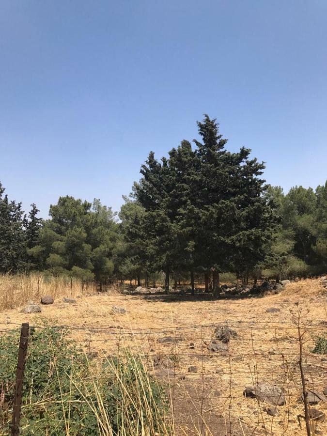 Natura-Eco Farm Εξωτερικό φωτογραφία